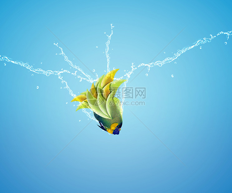 天使鱼跳跃宠物飞行友谊飞溅挑战蓝色玩意运动液体幸福图片