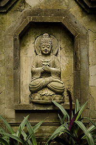 在中的 buddha 图像数字寺庙宗教异国雕像佛教徒情调花园图片