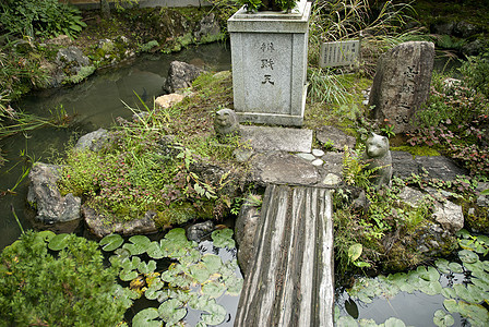 日托雅潘的日本传统花园绿色美化植物园艺图片