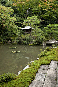 日托雅潘的日本传统花园植物园艺美化绿色图片