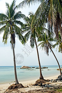 普吉塔兰附近的热带异国热带沙滩天堂海岸情调旅行海滩海岸线风景假期图片