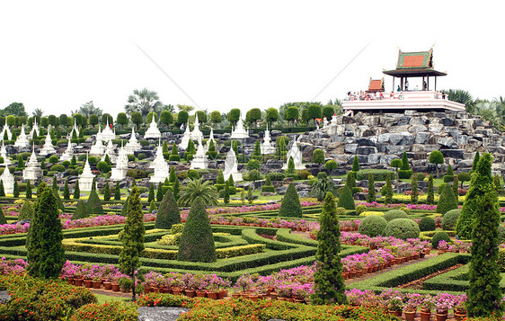 泰国 2012年3月26日 热带植物园寺庙花朵植物群野生动物数字石头公园兰花植物叶子图片