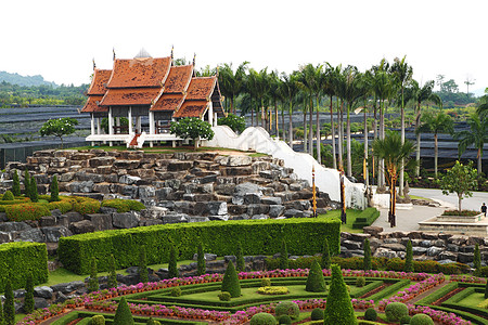 泰国帕塔亚PattayaNongnoooch热带植物园兰花农家乐植物热带季节墙纸植物群生活树木公园图片