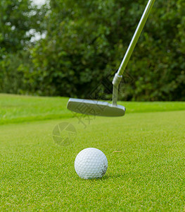 驾驶员面前的高尔夫球白色草地绿色球座课程俱乐部游戏球道宏观中风图片