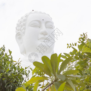 佛祖 越南Nha Trang的地标吸引力金属旅行佛教徒宗教旅游雕塑雕像棕褐色游客图片