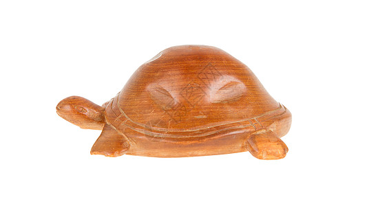 木龟 孤立盔甲身体安全力量工艺商品浮雕手工业塑像治疗学图片