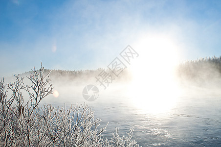 河边的冬天风景国家日历冰冻薄雾树木洪水天空环境荒野图片