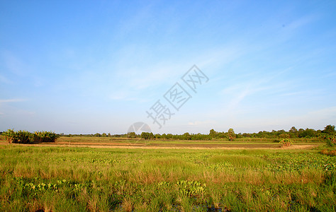 A 国家一面的农村地貌季节农场土地场地远景晴天木头生态地平线森林图片