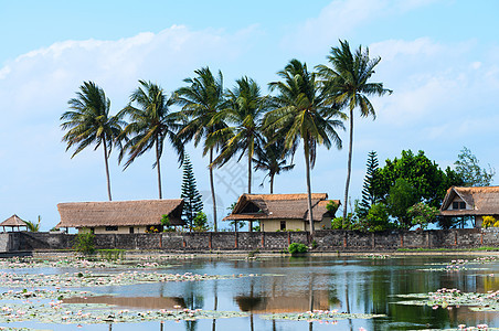 由百合覆盖的热带房屋和池塘图片