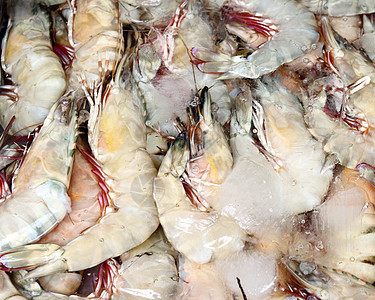 冰中的新鲜虾太阳摊位农民海鲜食物市场旅行尾巴甲壳餐厅图片