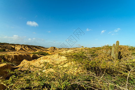 沙漠景观环境旅游干旱灌木风化地平线旅行风景土地荒野图片