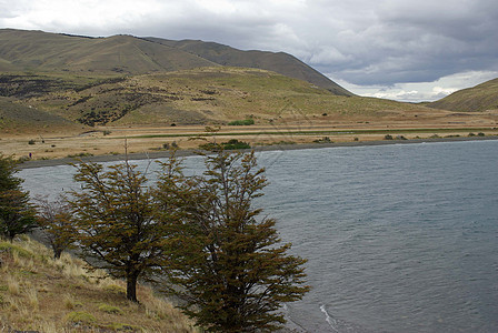 智利湖湖峡湾乡村海滩草原风景池塘爬坡多云农村荒野图片