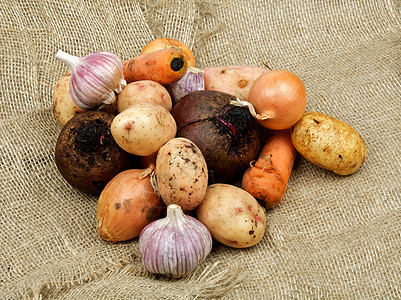 蔬菜肥料解雇黄色黑色土豆甜菜洋葱赤褐色健康饮食褐色食物图片
