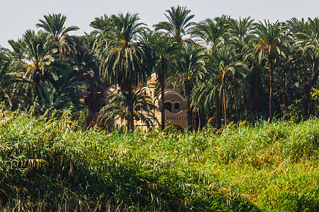 尼罗河岸上的棕榈和住房海岸线天空村庄窝棚绿洲风景边缘小屋场景文化图片
