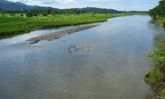 塔科尔河鳄鱼荒野水平爬虫捕食者两栖丛林动物热带野生动物图片