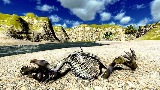 海滩上的恐龙骨头牙齿棕色灭绝阴影动物捕食者岩石石头颅骨历史图片