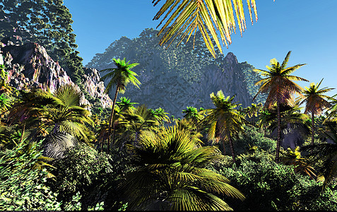 热带热带景观阳光丛林气候棕榈全景雨林日落分支机构森林风景图片