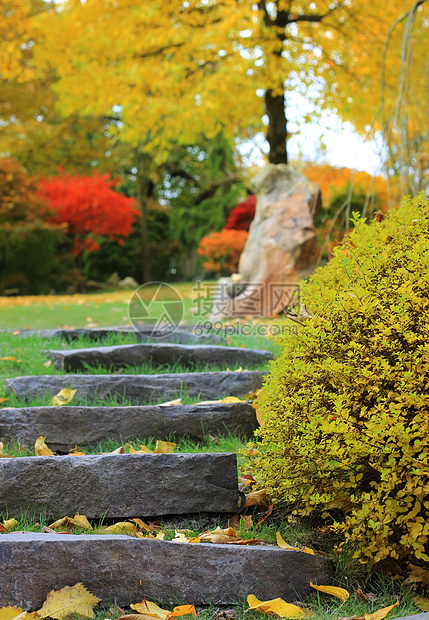 在日本花园的石头楼梯图片