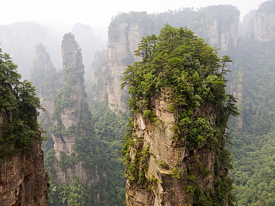 张家吉的岩石山地球悬崖森林岩溶公吨砂岩柱子侵蚀公园石头图片