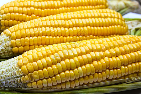 明亮颜色的甜玉米饮食农场水果健康生物宏观小吃食物谷物植物图片