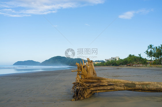 热带热带海滩目的地冲浪支撑海岸水平树干海岸线废料低潮假期图片