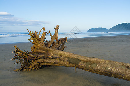 热带海滩上的浮沙图片