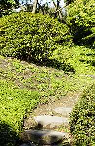 在日本花园里被石砸的楼梯图片