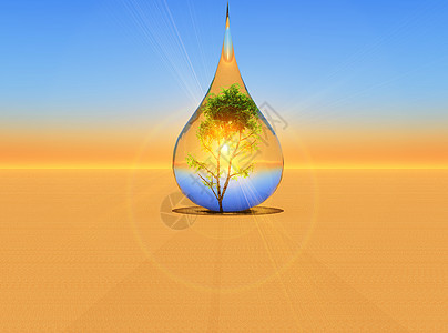 下降沙漠气泡日出生态全球阳光环境日落图片