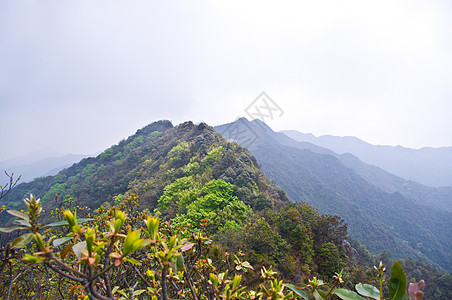 夏天看到中国的钉钉山脊山坡青金石亮度蓝色羽绒被天空太阳旅行草地月亮图片