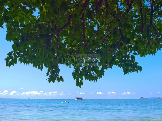 卡姆岛海浪植物群巡航海景蓝色地平线植物环境叶子天空图片