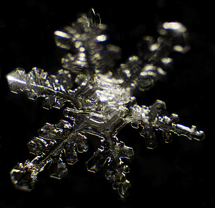 黑色背景的显微镜下的雪花冻结火花宏观白色水晶磨砂薄片天气图片