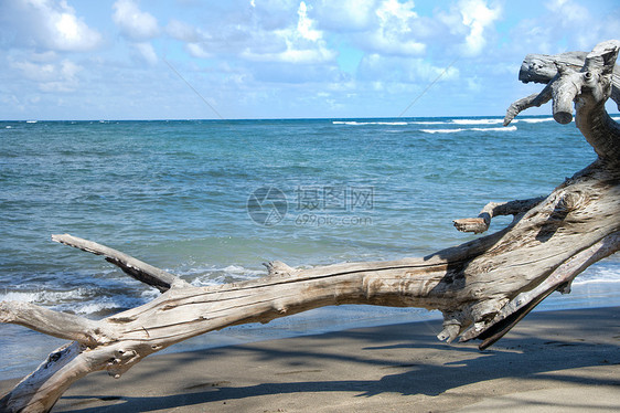 Waiehee海滩公园海滩热带海洋浮木旅行假期碰撞天堂波浪岛屿图片
