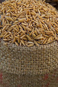 袋中稻田栽培生产乡村叶子植物培育农场棕色食物种子图片