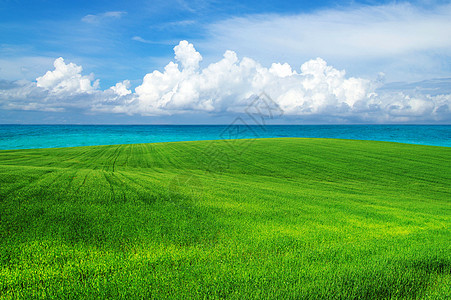 绿绿地草原农场场景草地晴天植物土地天空天堂国家图片