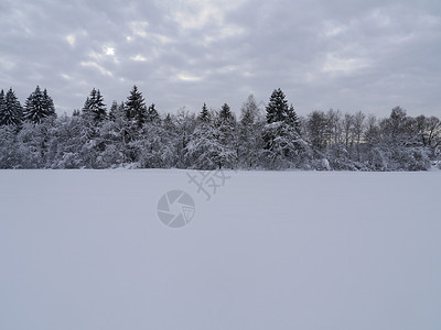 冬季雪雪地首脑旅行植物群雾凇假期寒意季节环境气候降雪图片