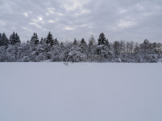 冬季雪雪地首脑旅行植物群雾凇假期寒意季节环境气候降雪图片