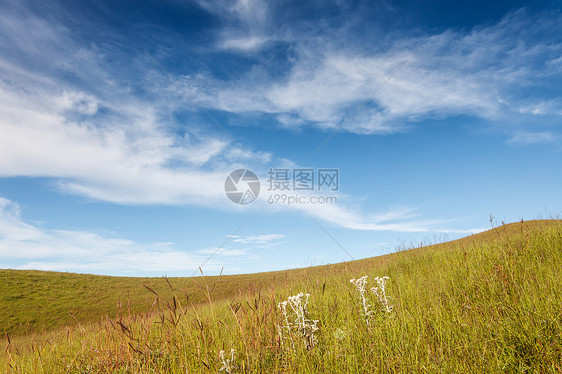 青云天空下的草地国家粮食环境地平线空地丘陵生长植物群花朵孤独图片