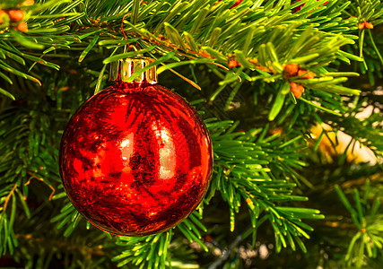 圣诞红地球绿树上图片