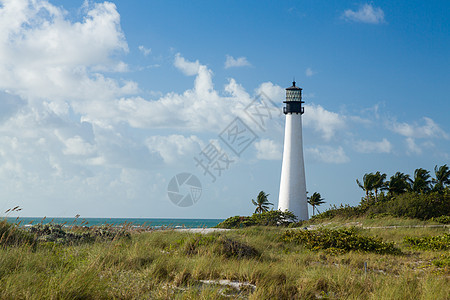 位于比尔巴格斯的佛罗里达角灯塔建筑灯塔导航安全蓝色海岸线棕榈指导海岸建筑学图片
