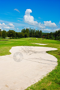 高尔夫球场运动草地高尔夫球蓝色娱乐绿色游戏场地球座太阳图片