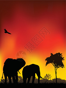 大象月光旅行插图场地日落动物天空旅游太阳夹子假期绘画图片