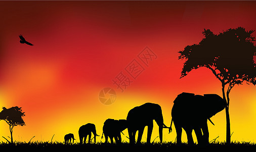 大象月光旅行动物夹子游猎天空野生动物土地橙子日落绘画假期图片