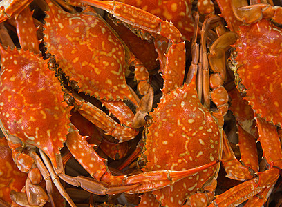 蓝螃蟹煮熟烹饪红色餐厅食物美食海鲜橙子图片
