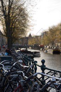 阿姆斯特丹运河沿线的自行车运输运河背景图片