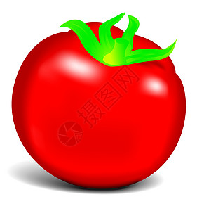 红番茄水果沙拉圆形红色烹饪白色食物插图饮食美食图片