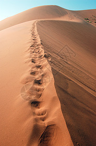 Dune 上的步骤图片