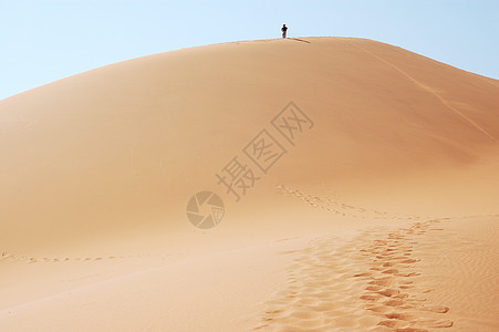 在沙丘的顶端风景艺术丘陵勘探干旱曲线荒野橙子纳米布游客图片