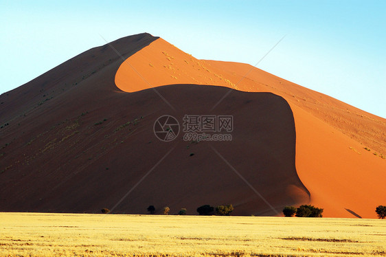 沙丘纳米布沙漠艺术勘探丘陵旅行游客旅游风景干旱图片