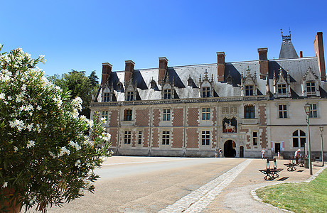 法国布洛伊斯城堡图片