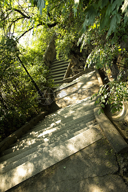 在公园的楼梯上金属植物旅行假期森林石头景观首都场景木头图片